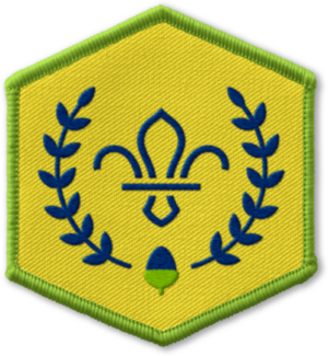 Chief Scout's Acorn Award