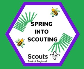 Spring Into Scouting